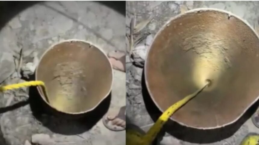 40 Foot Borewell Delhi