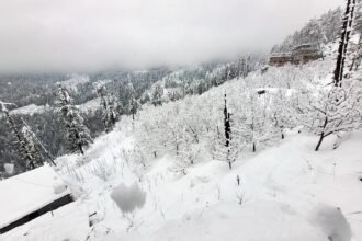 Snowfall in Shimla