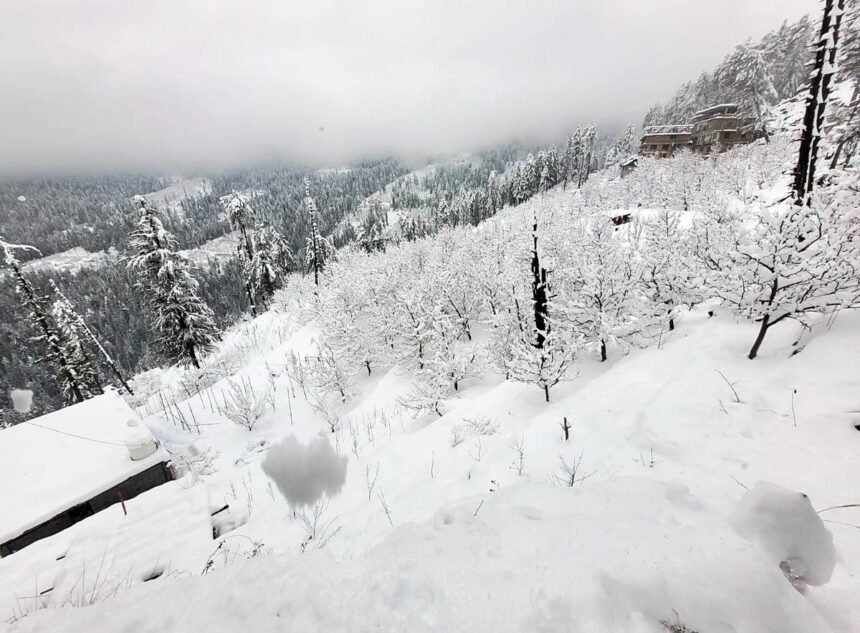 Snowfall in Shimla