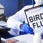 bird flu