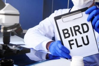 bird flu