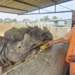 CM Yogi Visit Zoo