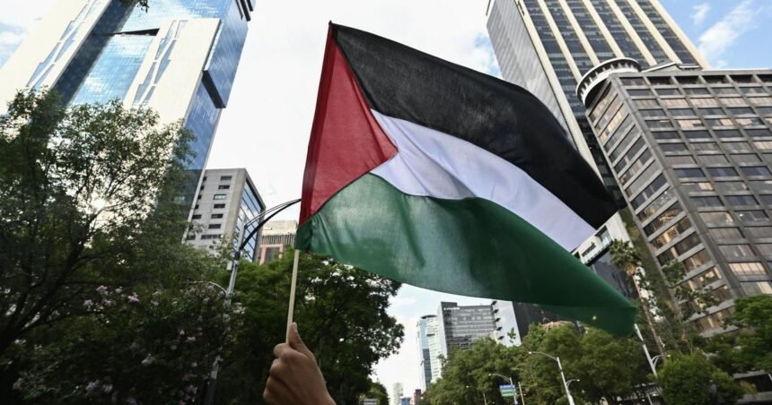 waving Palestinian flag in India