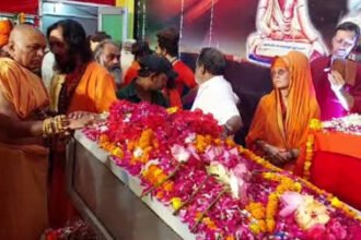 Mahamandaleshwar Pilot Baba