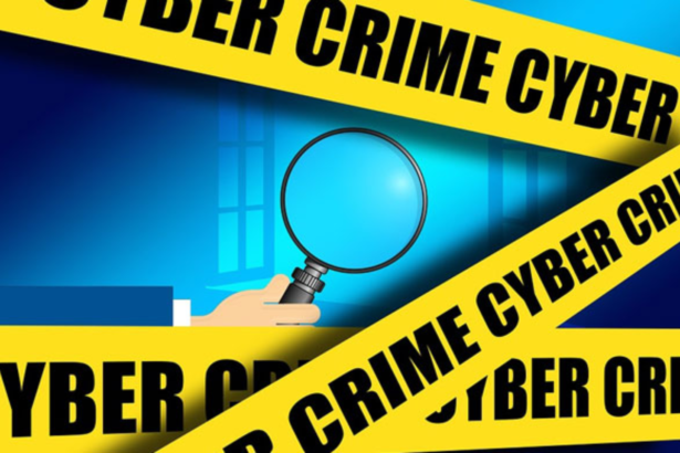 Delhi Cyber ​​Police
