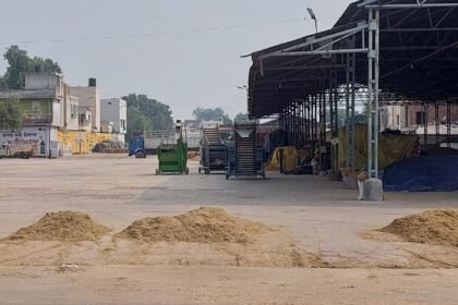 Khanna Grain Market