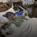 70-year-old Sardar Harpal Singh in Northern California